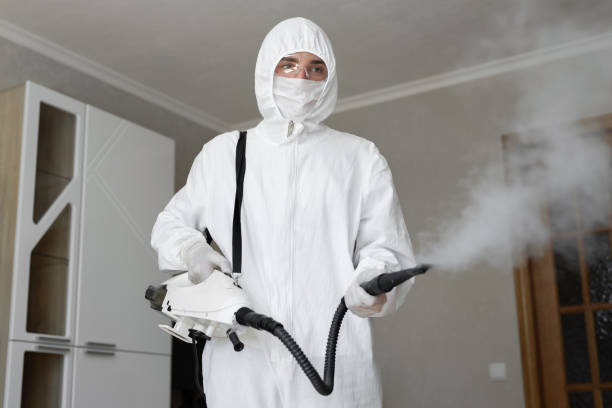 Best Asbestos and Lead Testing During Mold Inspection in North Zanesville, OH